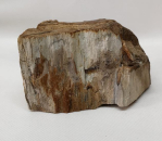 Versteinertes Holz Sumatra